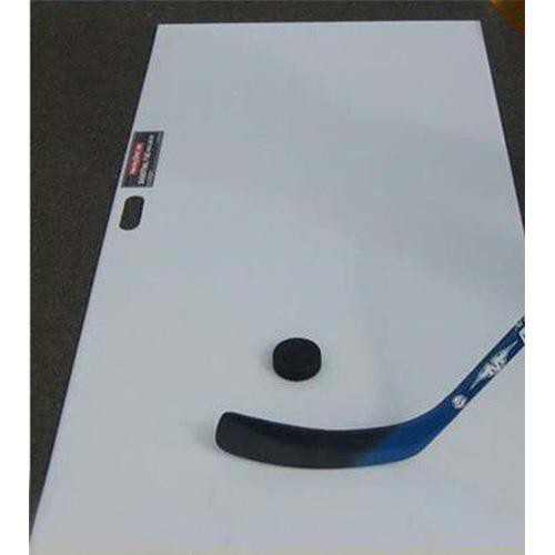 Synthetic Hockey Rink