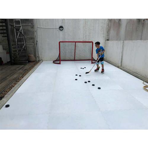 Synthetic Hockey Rink